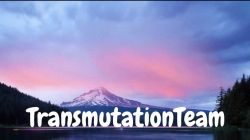 TransmutationTeam™
