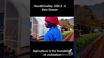 Hood & healthy SZN 2 help us get this funded  . https://gofund.me/43260caa